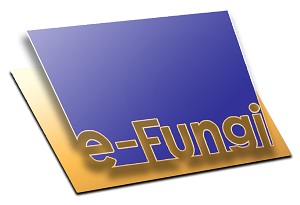 e-Fungi e-Fungi - Webservices for comparative genomics