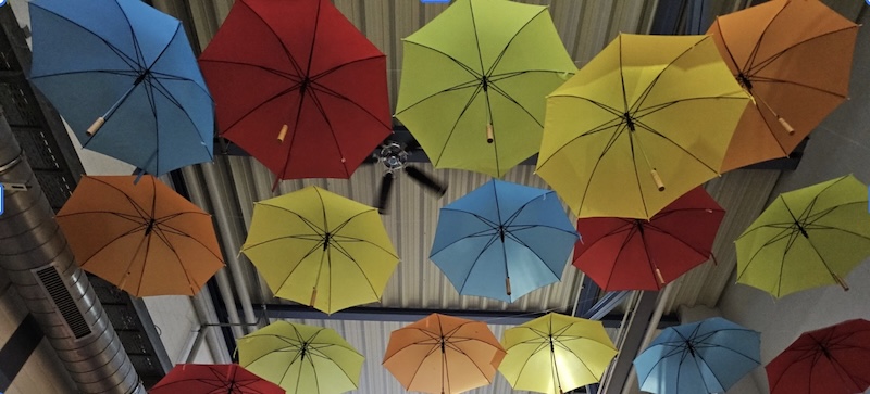 Colourful umbrellas mounted the ceiling as art.